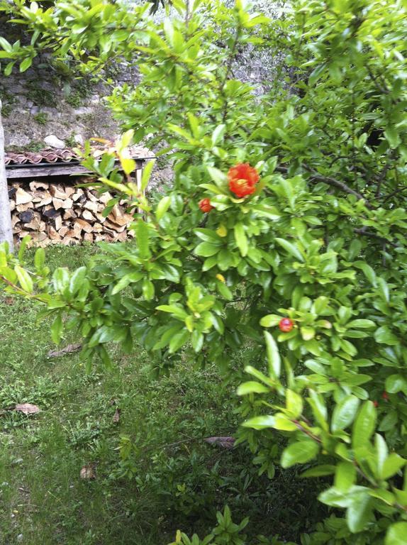 3 Rooms Apartment Whit Balcony And Lake Wiew Μαλτσεζίνε Εξωτερικό φωτογραφία